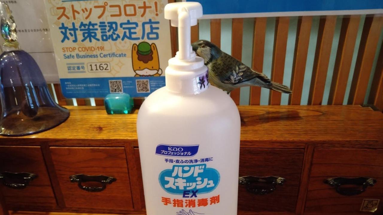 Hotel Hinokitei Bokusui Kusatsu  Zewnętrze zdjęcie